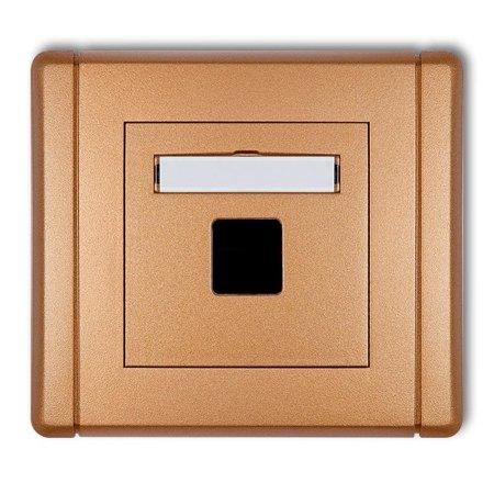 Multimedia-Steckdose ohne Modul (Keystone-Standard) gold 8FGM-1P