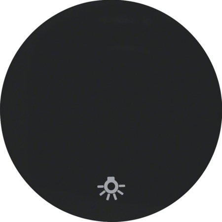 Wippe mit Aufdruck Symbol Licht R.1/R.3 schwarz, glänzend 16202035 HAGER